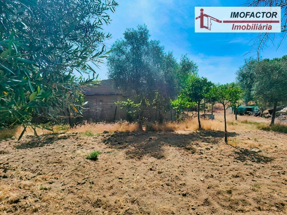 Quinta para Venda em São Miguel de Acha Foto 6