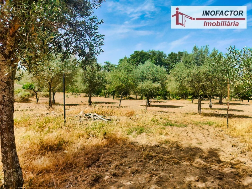 Quinta para Venda em São Miguel de Acha Foto 22