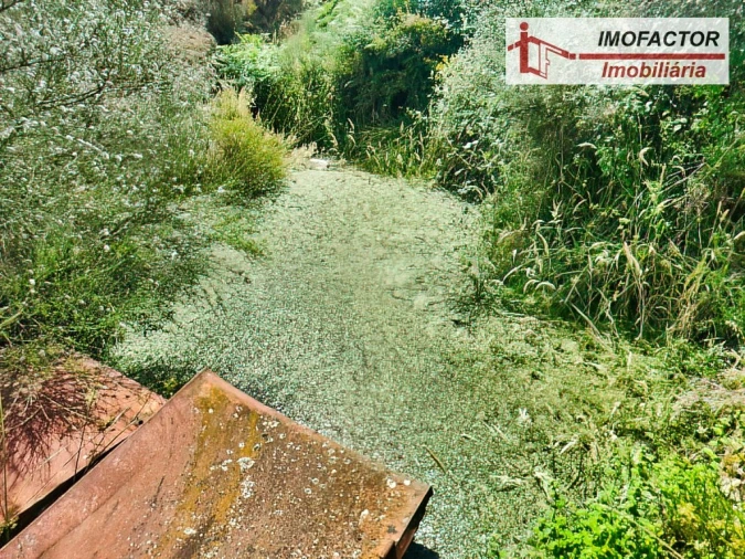 Quinta para Venda em São Miguel de Acha Foto 10