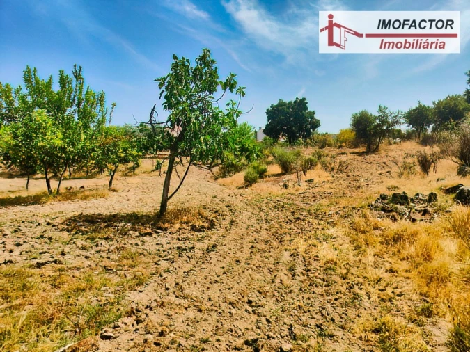 Quinta para Venda em São Miguel de Acha Foto 19