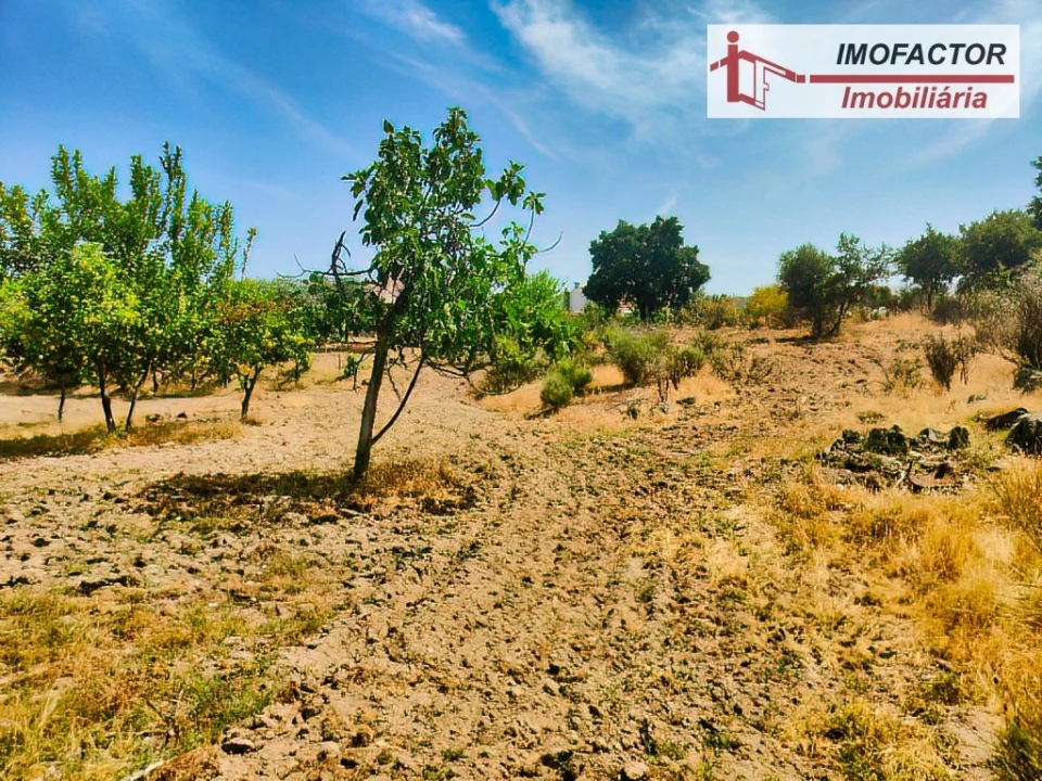 Quinta para Venda em São Miguel de Acha Foto 19