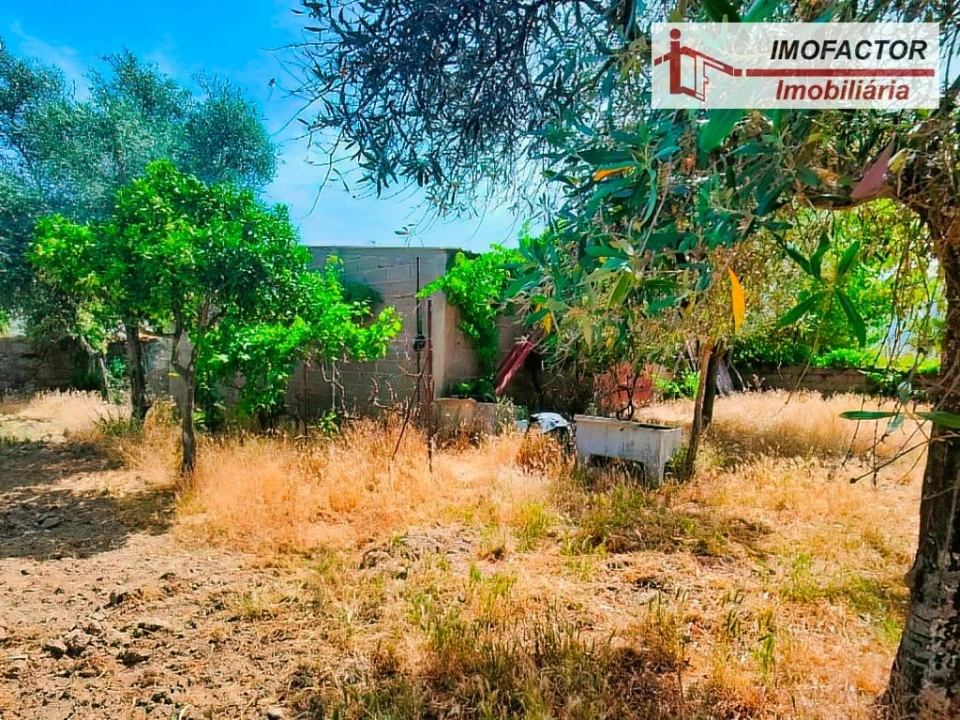 Quinta para Venda em São Miguel de Acha Foto 5