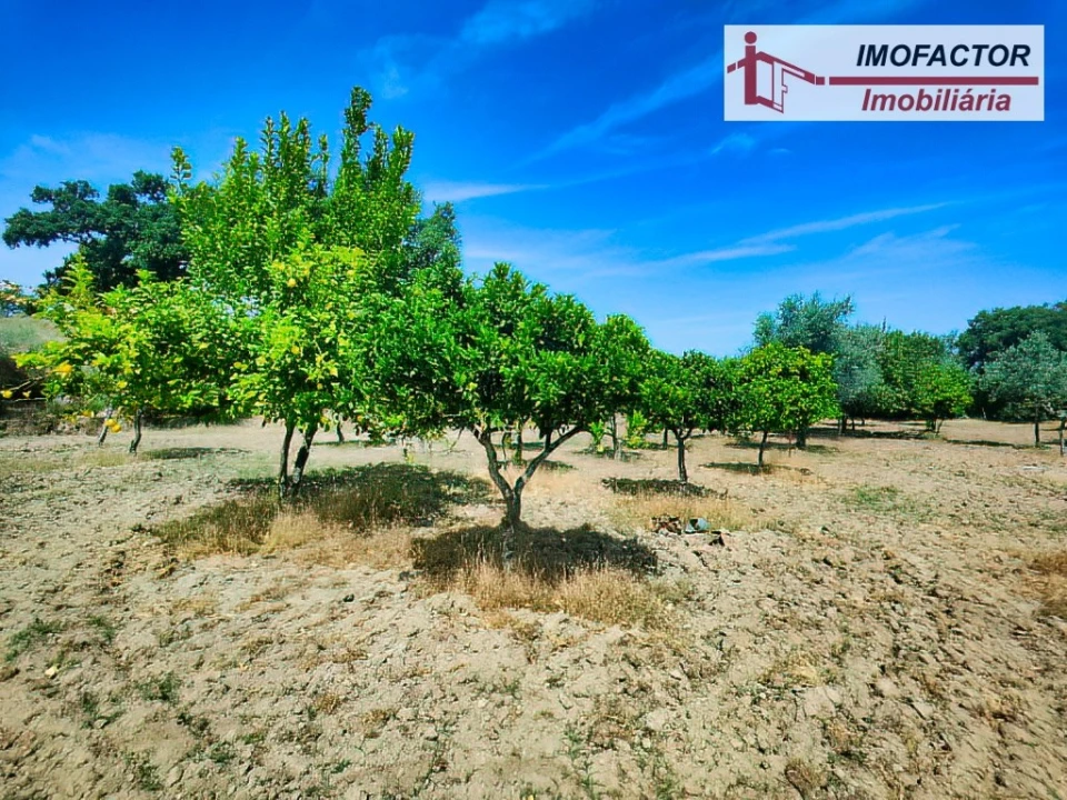 Quinta para Venda em São Miguel de Acha Foto 16