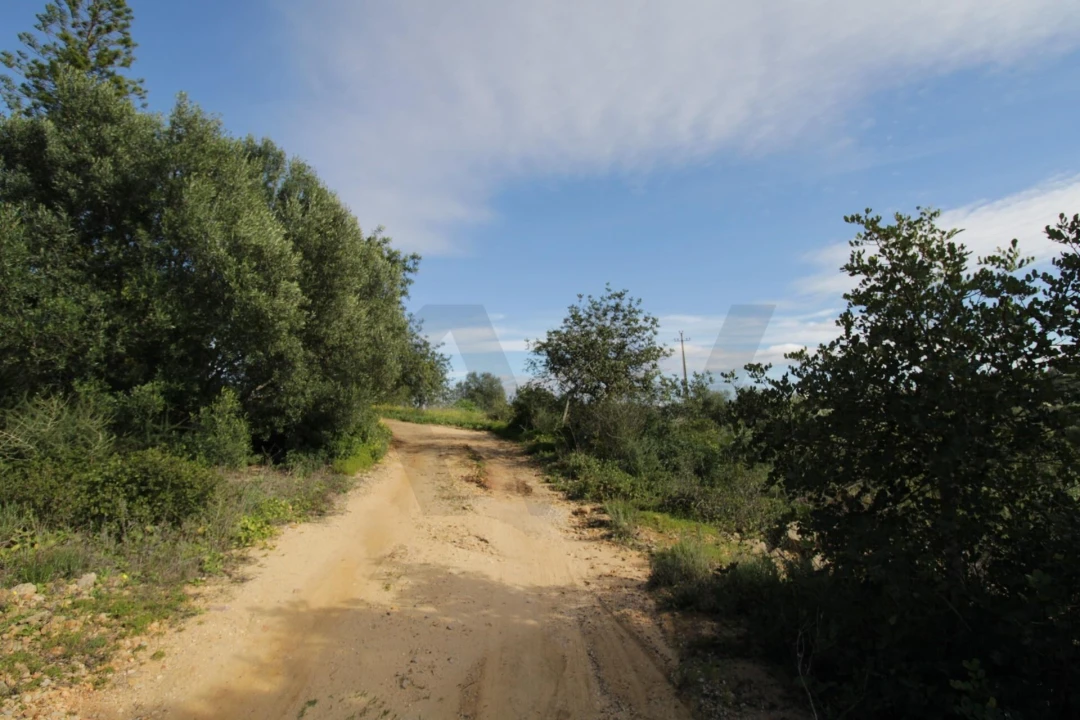 Prédio para Venda em Santa Barbara de Nexe Foto 5