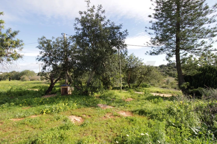 Prédio para Venda em Santa Barbara de Nexe Foto 6