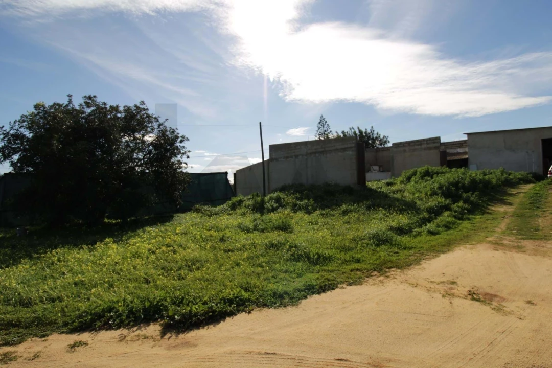 Prédio para Venda em Santa Barbara de Nexe Foto 8