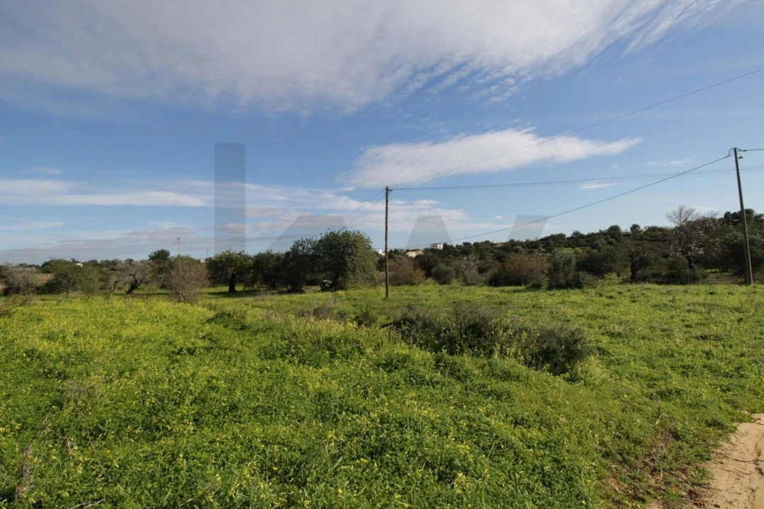 Prédio para Venda em Santa Barbara de Nexe Foto 7