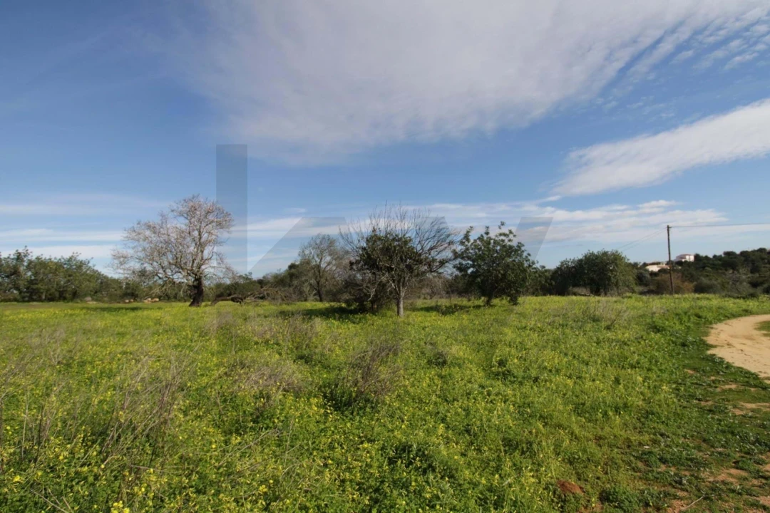 Prédio para Venda em Santa Barbara de Nexe Foto 9
