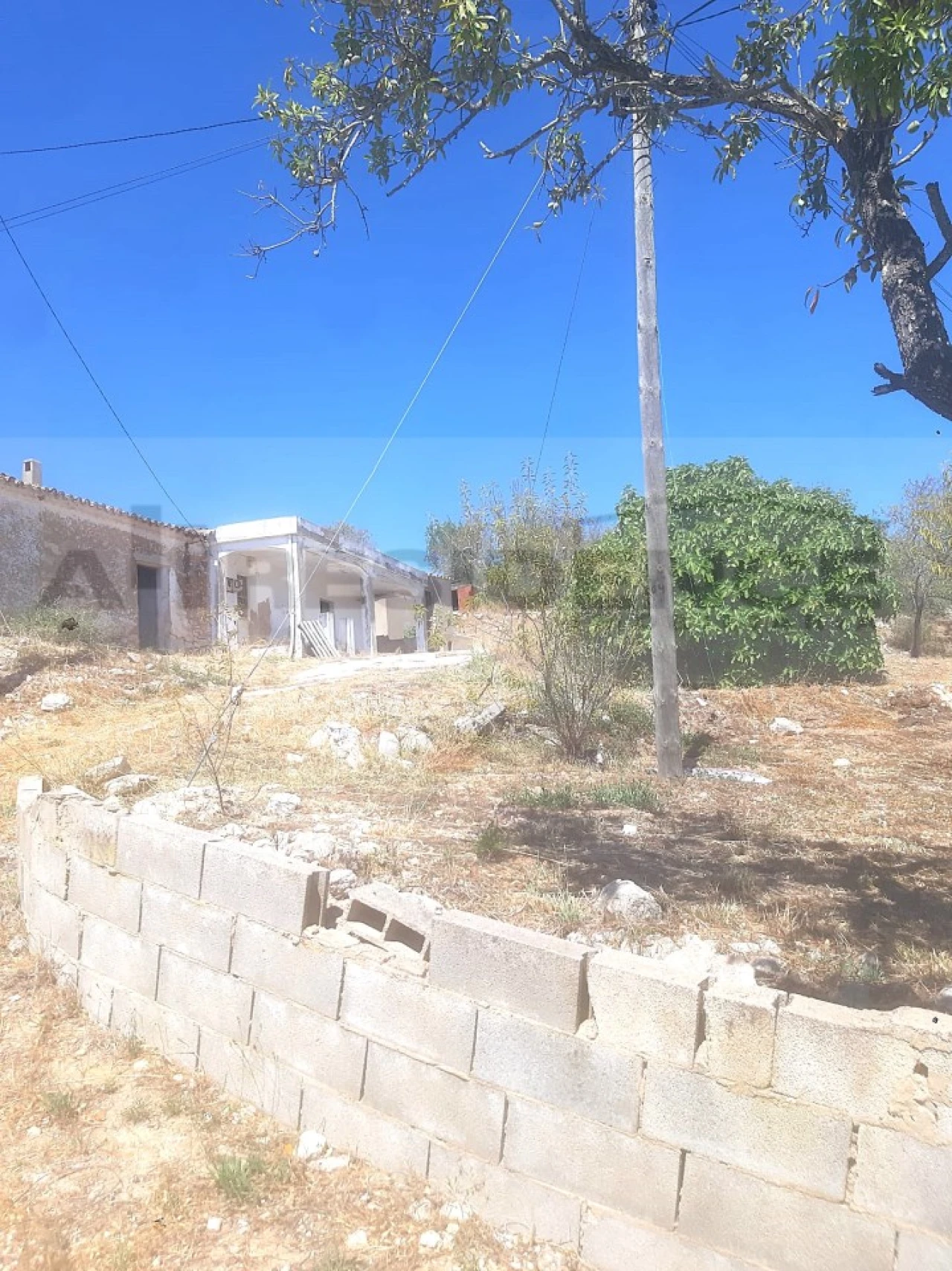 Terreno para Venda em Algoz e Tunes Foto 16