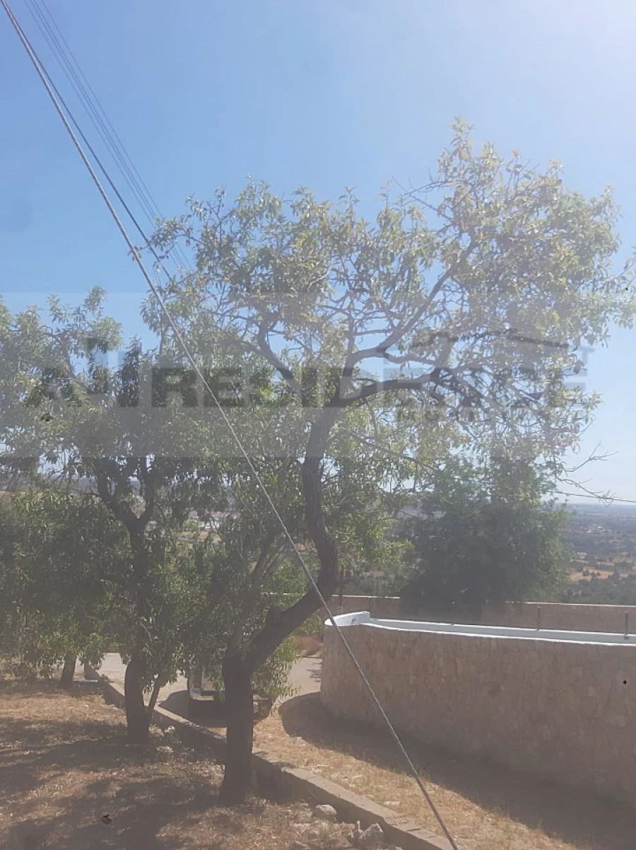 Terreno para Venda em Algoz e Tunes Foto 10