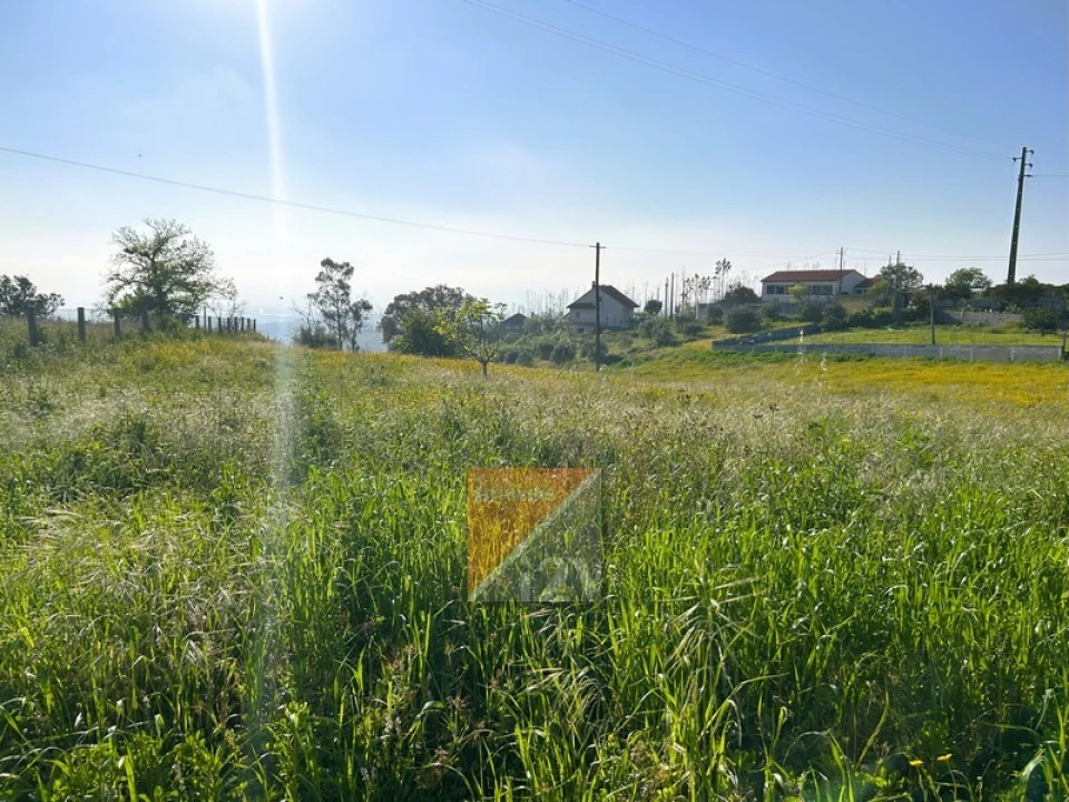 Moradia T3 para Venda em Colmeias e Memória Foto 43