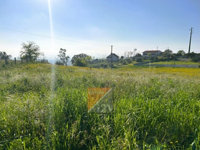 Moradia T3 para Venda em Colmeias e Memória Foto 43