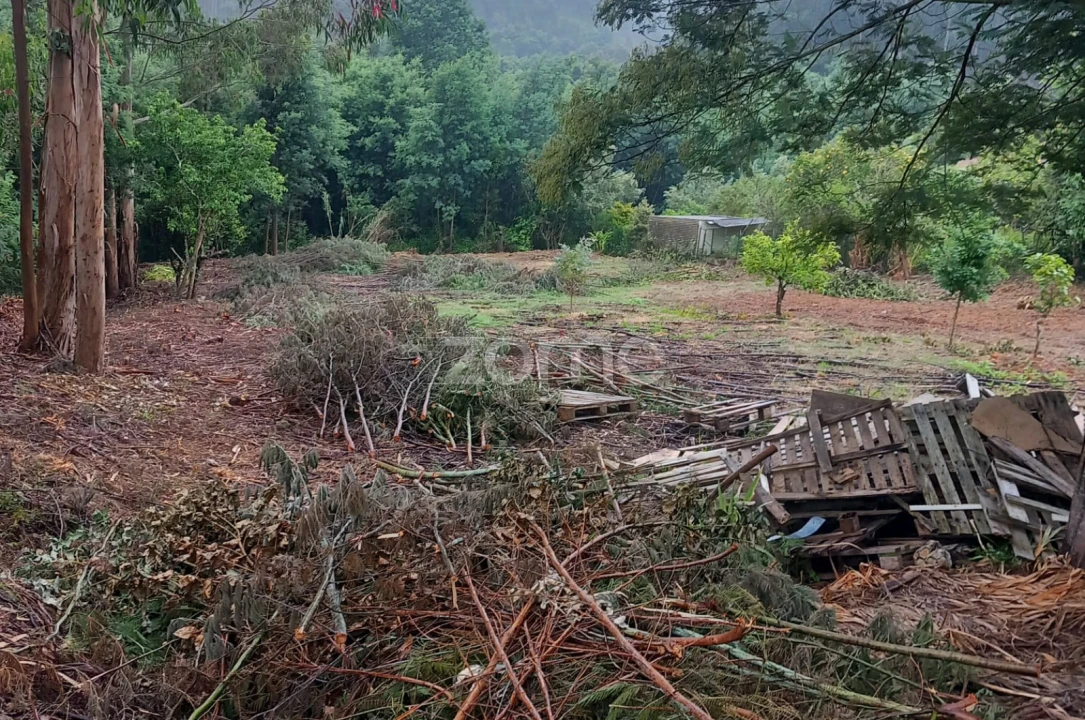 Terreno para Venda em Luso Foto 6