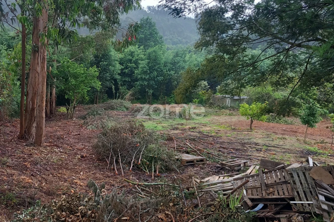 Terreno para Venda em Luso Foto 14