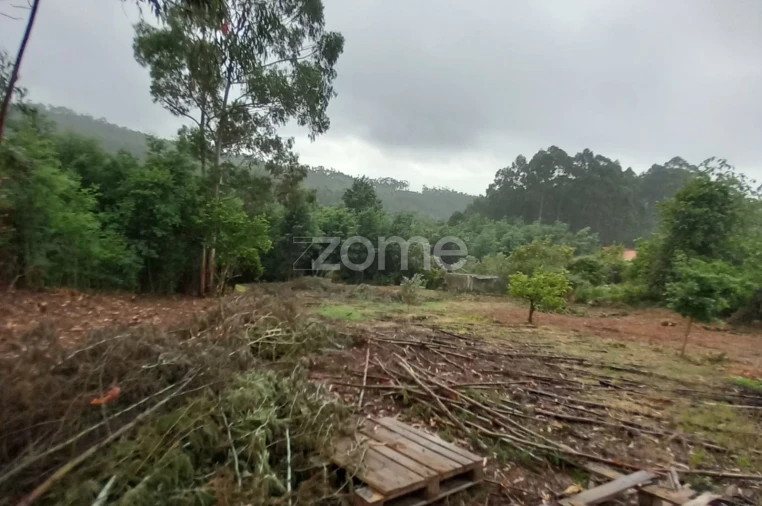 Terreno para Venda em Luso Foto 5
