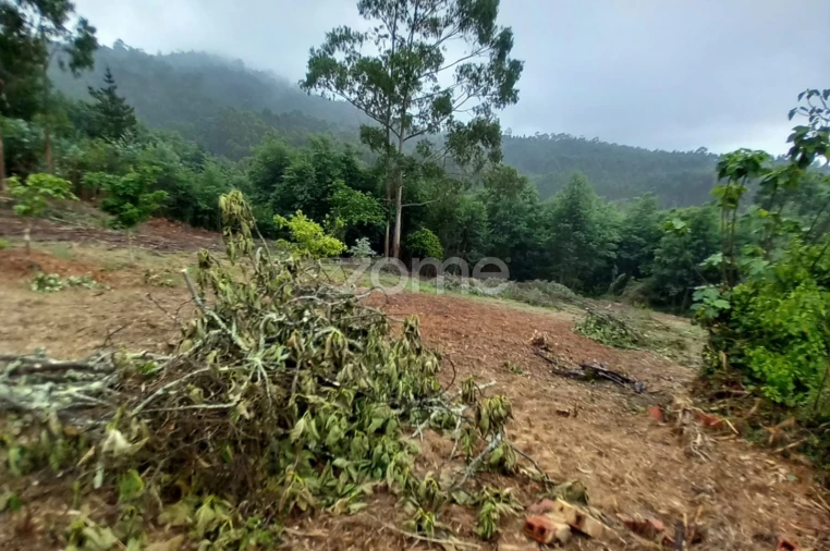Terreno para Venda em Luso Foto 3
