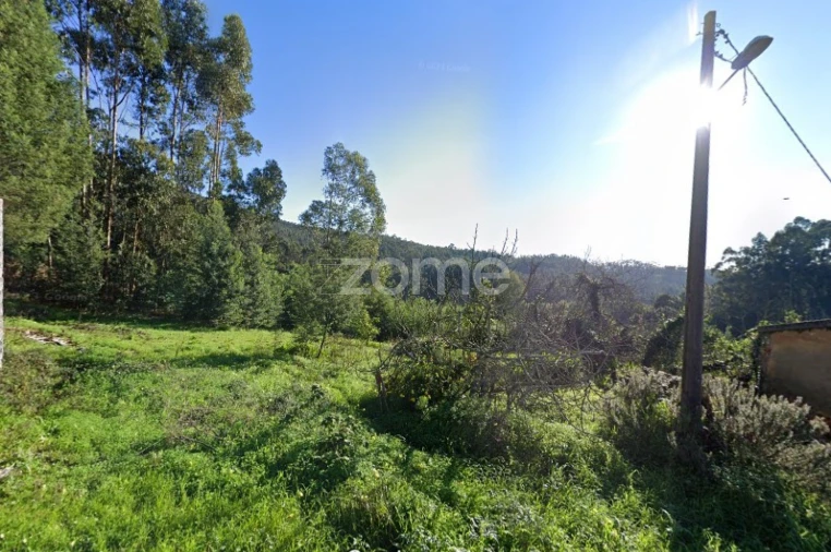 Terreno para Venda em Luso Foto 2