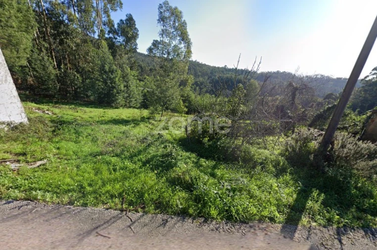 Terreno para Venda em Luso Foto 4