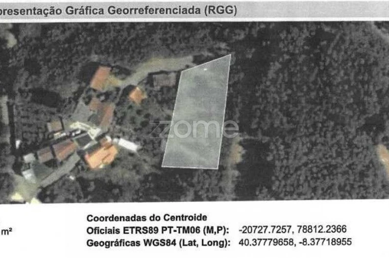 Terreno para Venda em Luso Foto 6