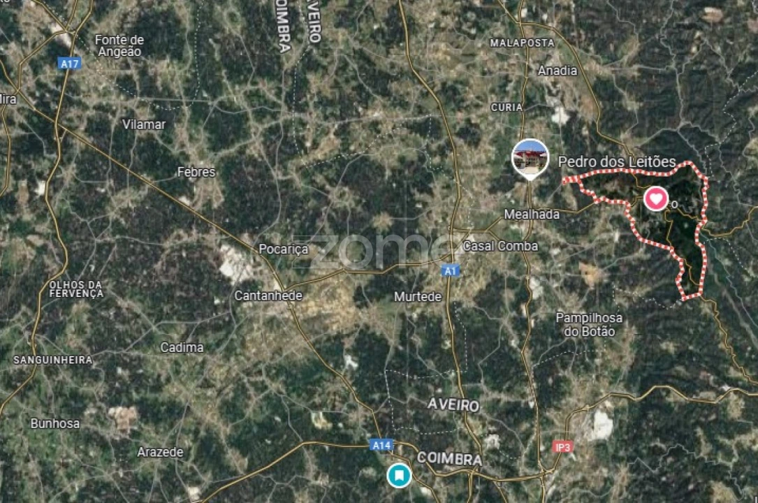 Terreno para Venda em Luso Foto 11