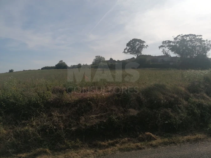 Terreno para Venda em Santo Quintino Foto 4