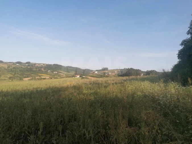 Terreno para Venda em Santo Quintino Foto 12