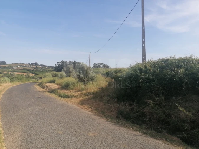 Terreno para Venda em Santo Quintino Foto 10