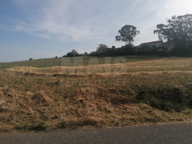 Terreno para Venda em Santo Quintino