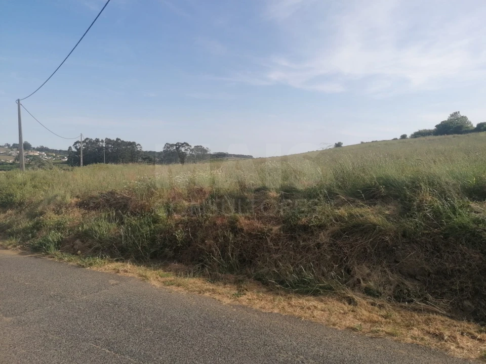 Terreno para Venda em Santo Quintino Foto 2