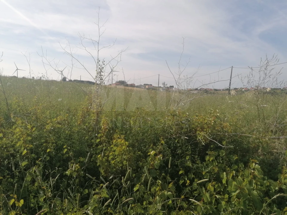 Terreno para Venda em Santo Quintino Foto 6