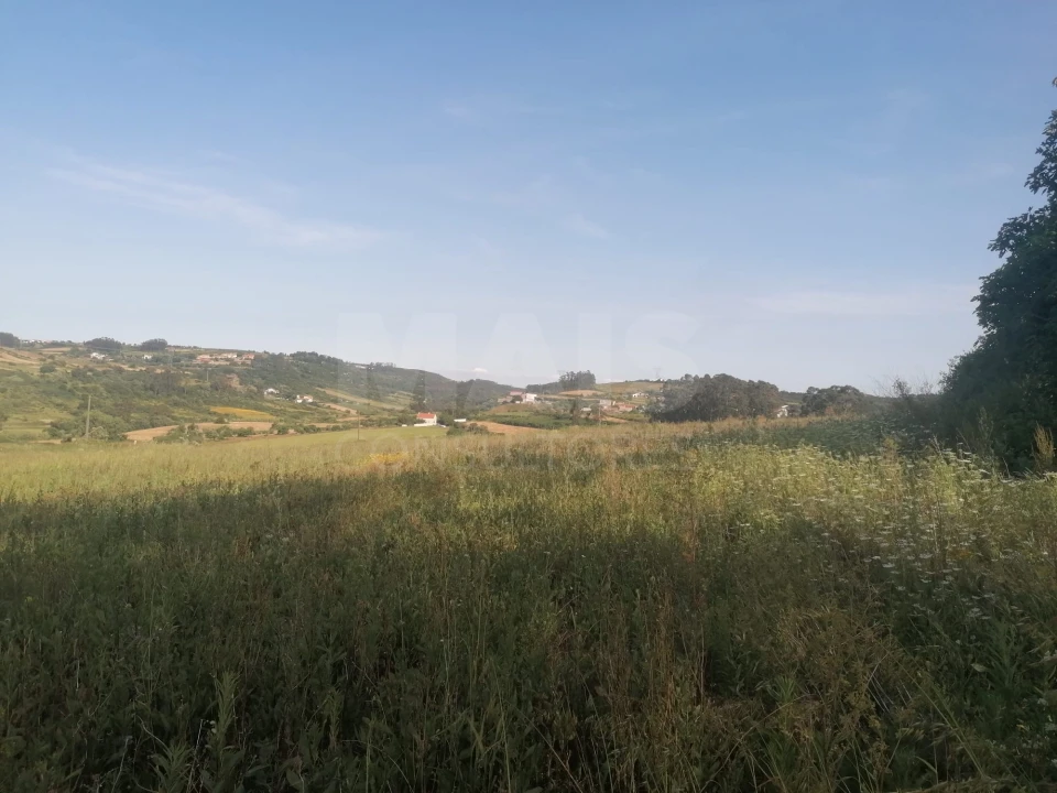 Terreno para Venda em Santo Quintino Foto 12