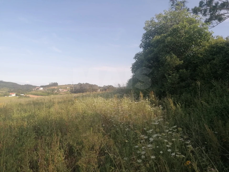 Terreno para Venda em Santo Quintino Foto 11