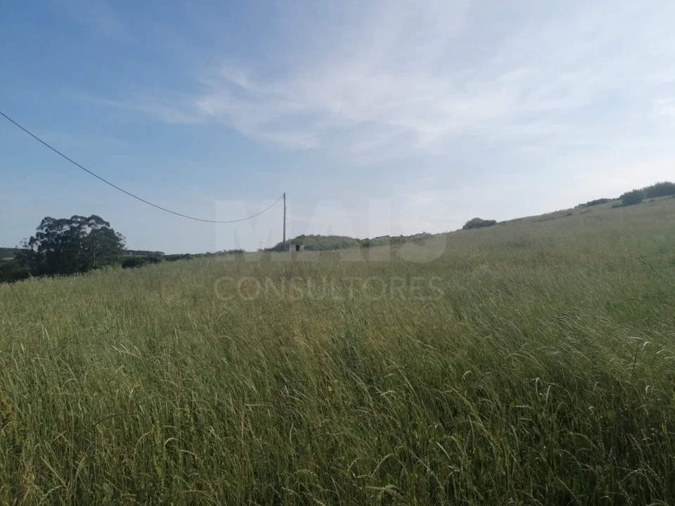 Terreno para Venda em Santo Quintino Foto 9