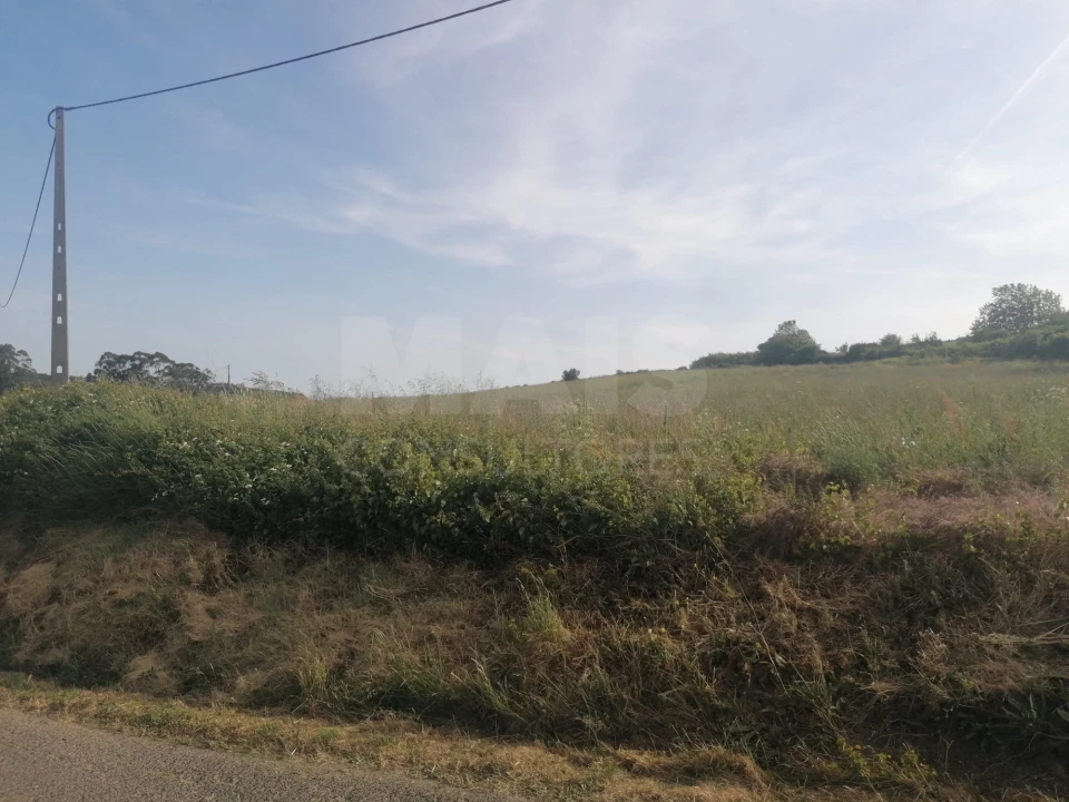 Terreno para Venda em Santo Quintino Foto 5