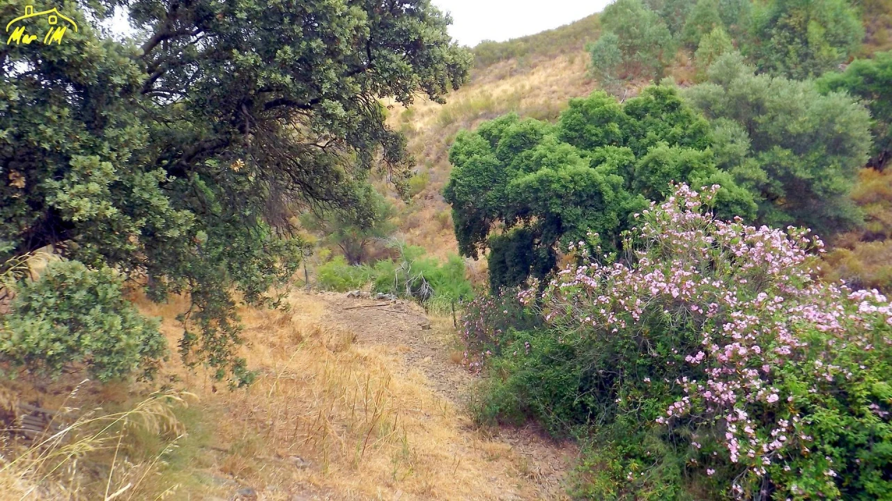 Terreno para Venda em Castro Marim Foto 19