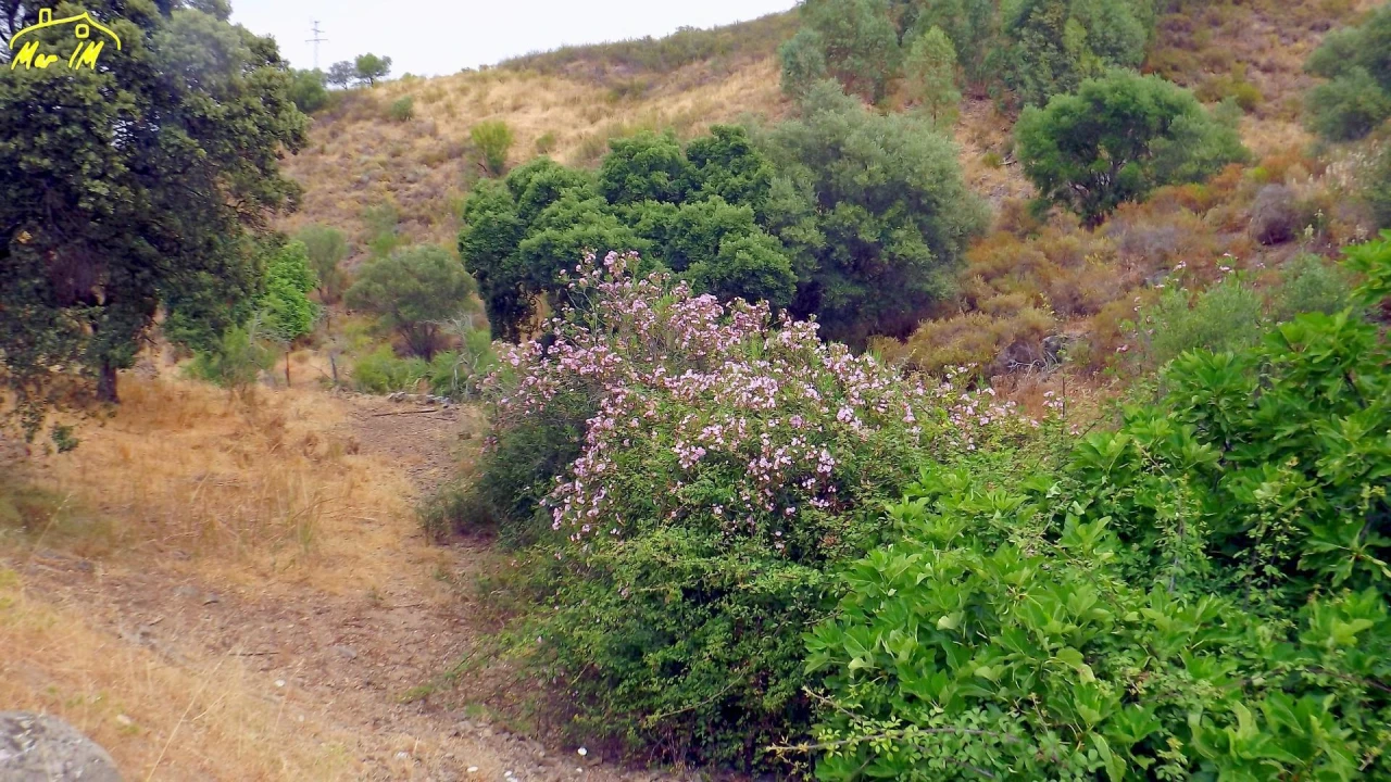 Terreno para Venda em Castro Marim Foto 21