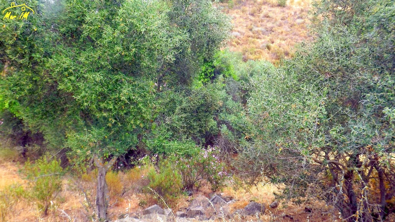 Terreno para Venda em Castro Marim Foto 27