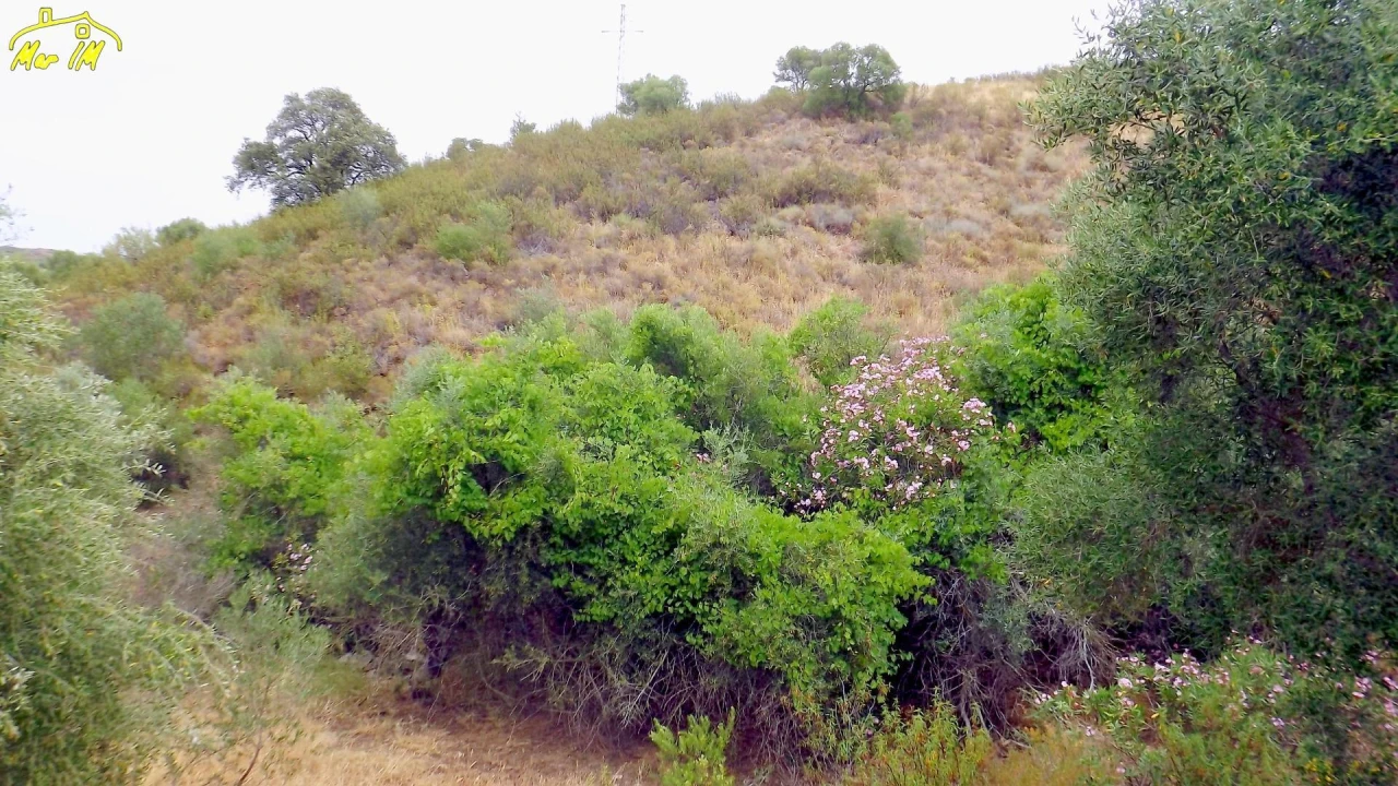 Terreno para Venda em Castro Marim Foto 29