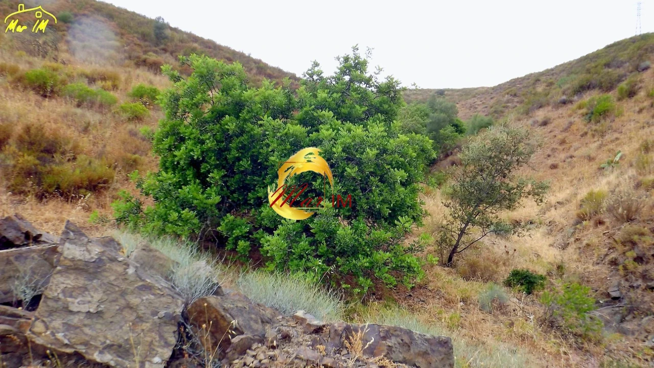 Terreno para Venda em Castro Marim Foto 14