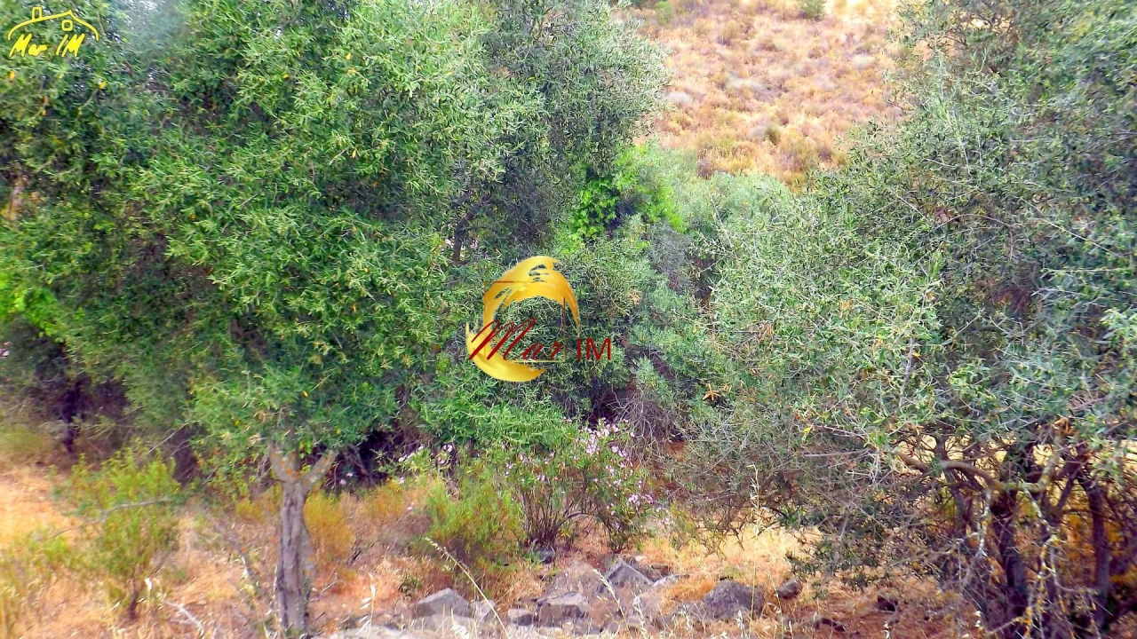 Terreno para Venda em Castro Marim Foto 27