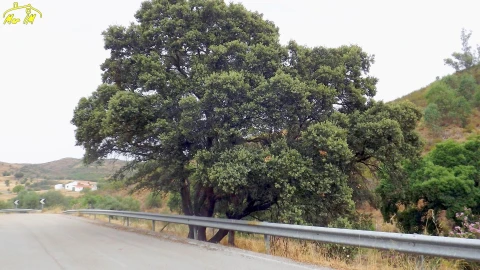 Terreno para Venda em Castro Marim