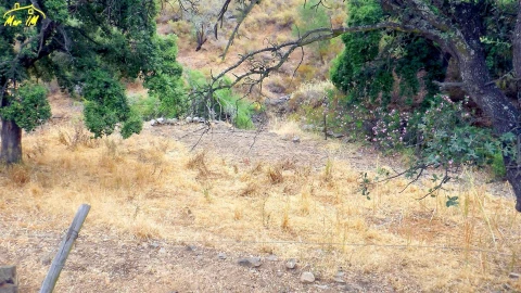 Terreno para Venda em Castro Marim