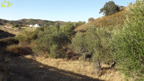 Terreno para Venda em Castro Marim