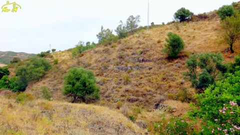 Terreno para Venda em Castro Marim