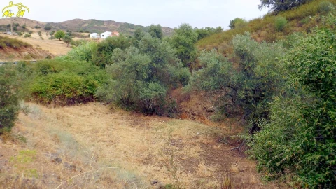 Terreno para Venda em Castro Marim