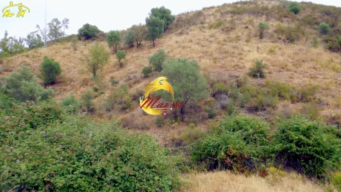 Terreno para Venda em Castro Marim