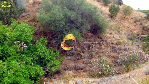 Terreno para Venda em Castro Marim