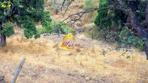 Terreno para Venda em Castro Marim