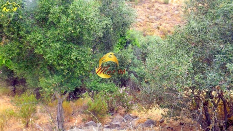 Terreno para Venda em Castro Marim