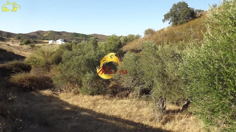 Terreno para Venda em Castro Marim